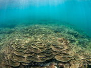Seaside Dive Hub AquaVistaの写真4