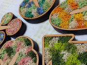 moss.sakuraの写真2