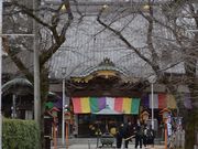 Hatago COEDOYA 旅籠 小江戸やの写真3