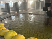 つがる市車力ウェルネスセンター「しゃりき温泉」の写真4