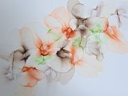 Atelier Aileの写真2