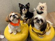 いぬカフェRio 佐賀店の写真2