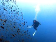 カレントブルー ダイビングスクールの写真4