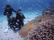 OKK MARINE CLUBの写真4