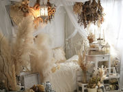 photo studio Latirasの写真2