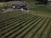 コヤギファームの写真2