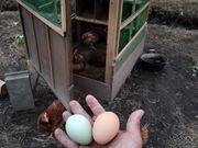 ことのはファームの写真4