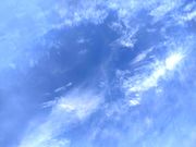 ILA Community Farmの写真4