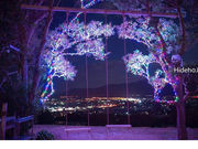 ブーゲンの森キャンプ場の写真4