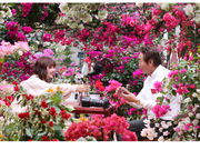 唐津観光花園 ブーゲンの森の写真4