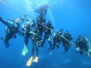 OUR BEST BUDDYの写真3