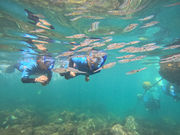 OUR BEST BUDDYの写真4