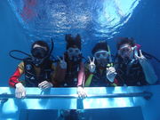 BIGBLUE ダイビングの写真3
