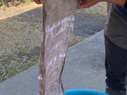 温順人鳥桜島工房の写真4