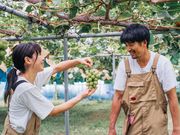 oboco grapesの写真3