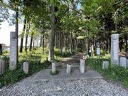 千葉県立船橋県民の森の写真3