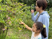 あおきの森ブルーベリー園の写真3