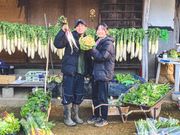 ベーストヨトミの写真2