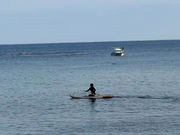 Reef Breakの写真2