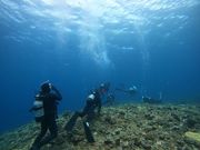 ダイビングショップanhelotripの写真4