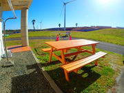 Swell Ocean Sportsの写真4