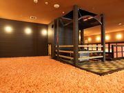 岩塩 りんくうの湯の写真4