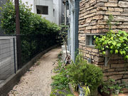 slope kilnの写真2
