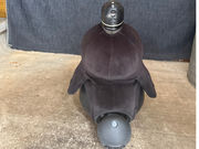 六兵衛坂新倉花店の写真4