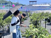 ブルーベリーファームみさきの写真3