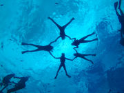 UNDA Snorkeling Clubの写真3