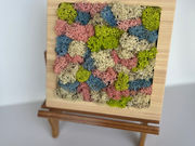 アトリエ Rocco(アトリエロッコ)の写真3