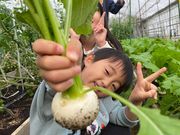 霜降しいたけ 有機農園の写真3