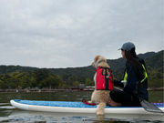 Y'sSUPの写真3