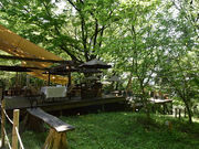 宇都宮アルプスの森キャンプ場の写真4