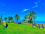 BOA OUTDOOR TEAMの写真2