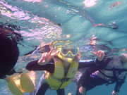 富山シュノーケリング体験の写真2