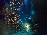 RK Diving Schoolの写真2