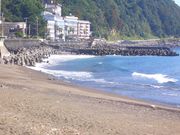 熱川温泉旅館組合の写真3