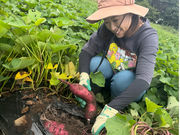 藍染屋ミオカザロの写真2