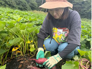 藍染屋ミオカザロの写真4