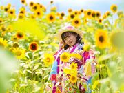 D.Graceの写真4