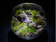 Moss Countryの写真4