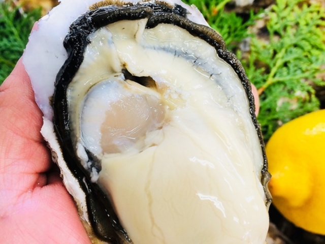 若大将 東別院の写真1