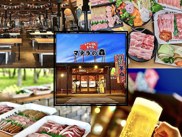 マテラの森の写真1