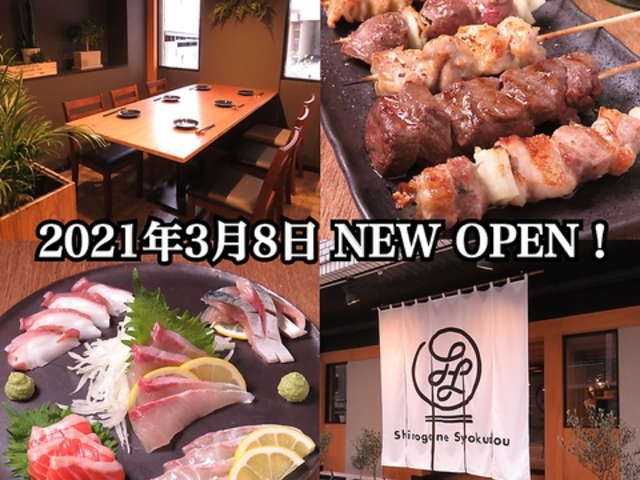 Shirogane Syokudou 白金食堂の写真1
