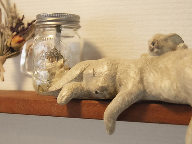 玉露の里カフェ うさぎの隠れ家の写真1