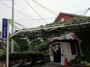 手打蕎麦のたぐとの写真1