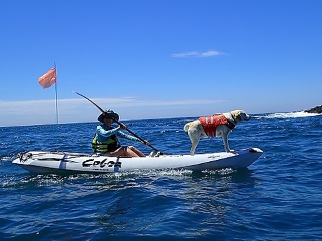 湊CAFE&PIRATESの写真1