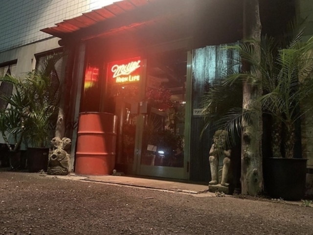 アオヤマバーの写真1