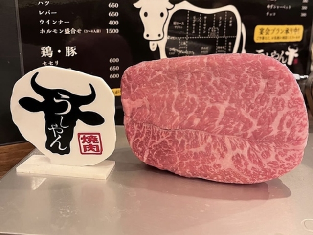 うしやんの写真1